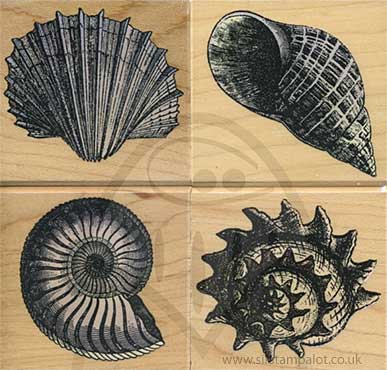 SO: Poetic Prints - Ornamental Shells