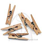 Little Clothes Pegs (25 natural)
