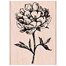 SO: Wood Stamp - Classic Tea Flower