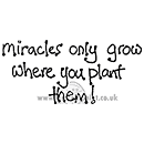 SO: Miracles