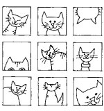 Cat Blocks