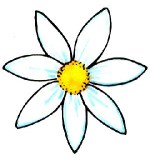 Daisy