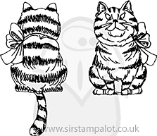 Front n Back - Tabby Cat