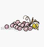 Small Grape Cluster