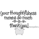 Your thoughtfulness means..