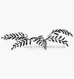 SO: WC Fern Branches