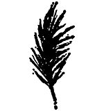 TC Mini Palm Frond