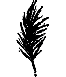 TC Mini Palm Frond