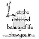 Untamed Beauty
