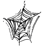 SO: Spider's Web