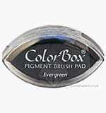 SO: ColorBox Pigment Brush InkPad - Evergreen