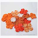 SO: Paper Flowers - Hot Oranges