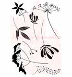 SO: Woodware Clear Stamps 3.5x5.5 Sheet - Plant A Meadow - Mini