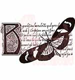 SO: Woodware Clear Stamps 3.5x5.5 Sheet - Butterfly Botanical