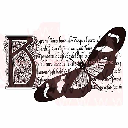 SO: Woodware Clear Stamps 3.5x5.5 Sheet - Butterfly Botanical