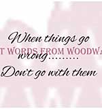 When Things Go Wrong - Woodware Clear Magic Stamps