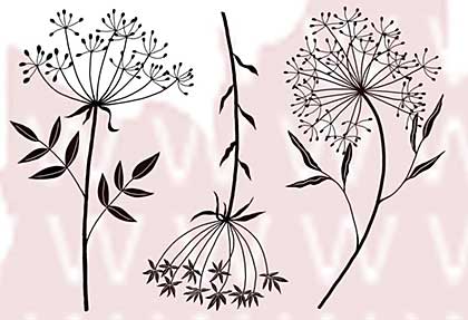 SO: Woodware Clear Stamps - Small Fennel