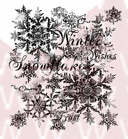 WA16 Woodware Clear Stamps - Snowflakes