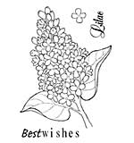 Woodware Clear Stamps - Lilac Spray