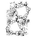 Woodware Clear Singles - Torn Paper Frames Woodware Clear Singles - Torn Paper Frames