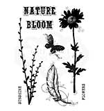 Blooming Nature, Woodware Clear Singles Stamp [1019]