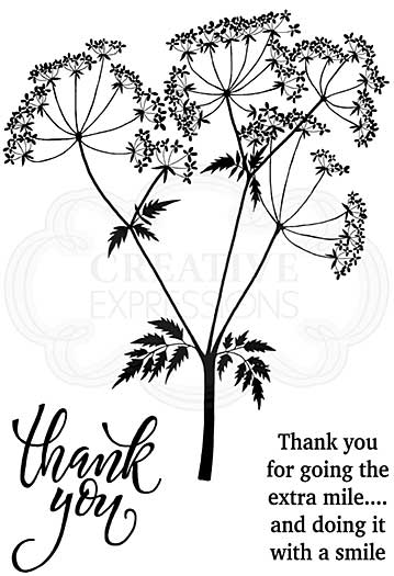 SO: Cow Parsley, Woodware Clear Singles Stamp [1019]