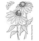 Woodware Clear Singles Echinacea and Moth Stamp (4x6)