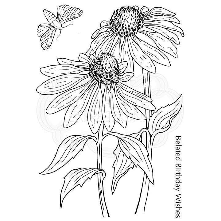 SO: Woodware Clear Singles Echinacea and Moth Stamp (4x6)