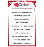 SO: Woodware Clear Singles Birthday Strips Stamp (4x6)