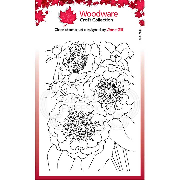 SO: Woodware Clear Singles Zinnia 4 in x 6 in Stamp