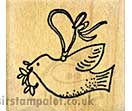 SO: Peace Dove