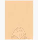 SO: A4 sheet of Peach (heavy weight) paper