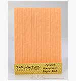 SO: Inky Antics - Honeycomb Paper Pad - Apricot