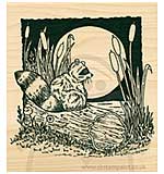 SO: Inky Antics - Wood Stamp - Moonlight Racoon