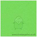 SO: Bazzill 12x12 Textured Cardstock - Grasshopper 25 sheets pack