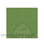 SO: Bazzill 12x12 Grasscloth Texture - Guacamole