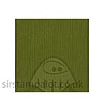 SO: Bazzill 12x12 Grasscloth Texture - Palo Verde 25 sheets pack