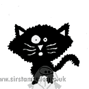 SO: Black Cat