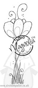 Magnolia Fairytale - Fairytale Fantasy Flower