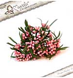 SO: Magnolia LD15 Ring twice Berries - Pink