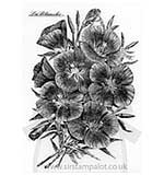 SO: La Blanche - Flowers - Flower Bouquet [D]