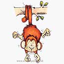 SO: Swing' Monkey