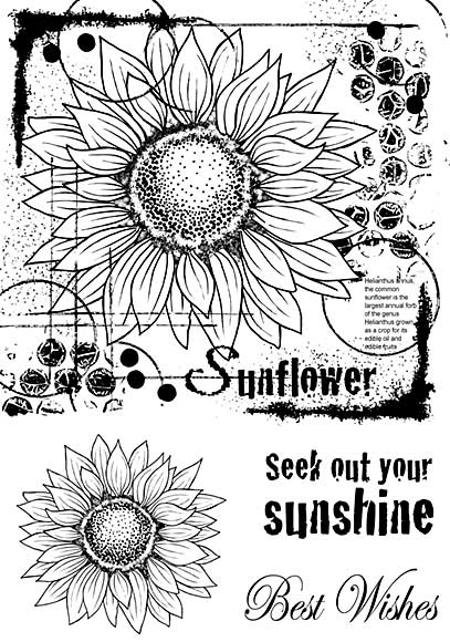 SO: Woodware Clear Singles Stamp - Sunflower Sketch [WW1804]