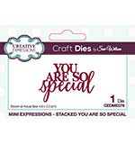 SO: Creative Expressions Sue Wilson Mini Expressions Stacked You Are So Special Craft Die