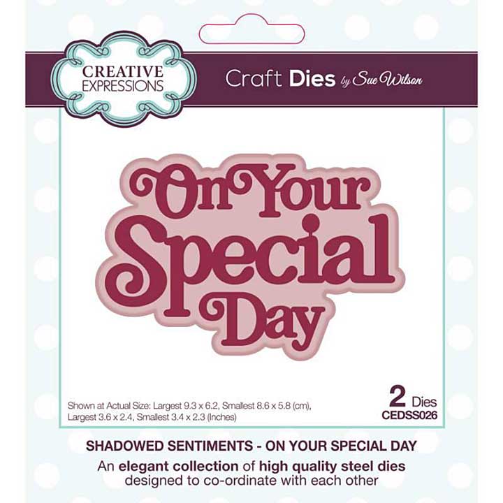 Creative Expressions Sue Wilson Shadowed Sentiments On Your Special Day Craft Die