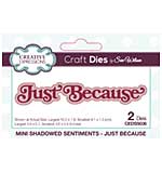 Creative Expressions Sue Wilson Craft Die Mini Shadowed Sentiments Just Because (CEDSS036)