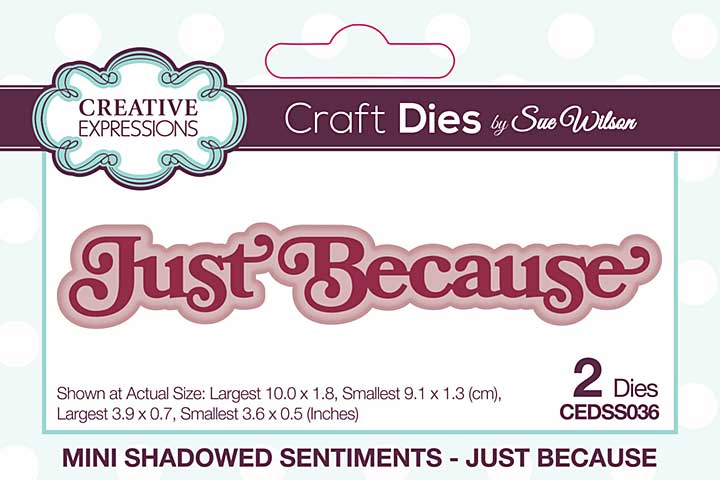 Creative Expressions Sue Wilson Craft Die Mini Shadowed Sentiments Just Because (CEDSS036)