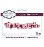 Creative Expressions Sue Wilson Craft Die Mini Shadowed Sentiments Thinking Of You (CEDSS037)