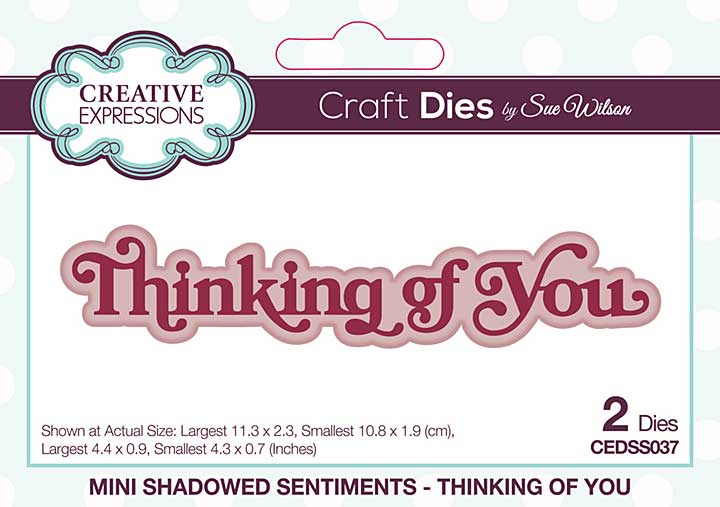 Creative Expressions Sue Wilson Craft Die Mini Shadowed Sentiments Thinking Of You (CEDSS037)