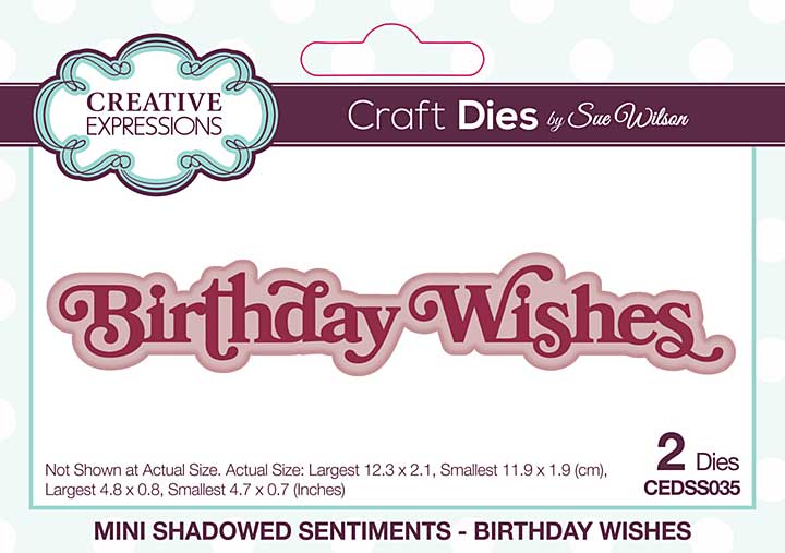 Creative Expressions Sue Wilson Craft Die Mini Shadowed Sentiments Birthday Wishes (CEDSS035)